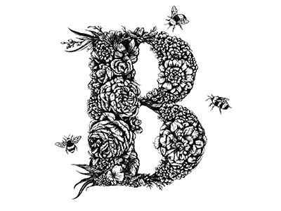 36 Days of Type _ Letter B 36 days of type b bee hand lettering illustration lettering