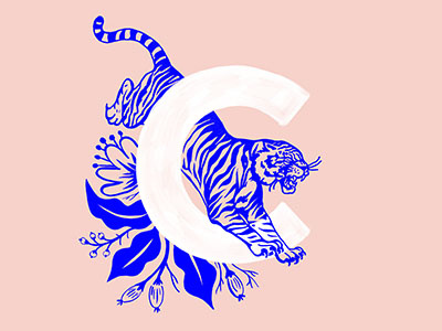 36 Days of Type _ Letter C 36 days of type c cat hand lettering illustration lettering procreate