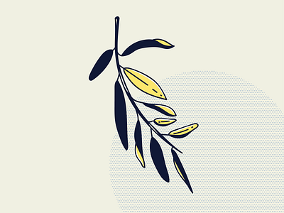 Olive branch illustration illustrator olive