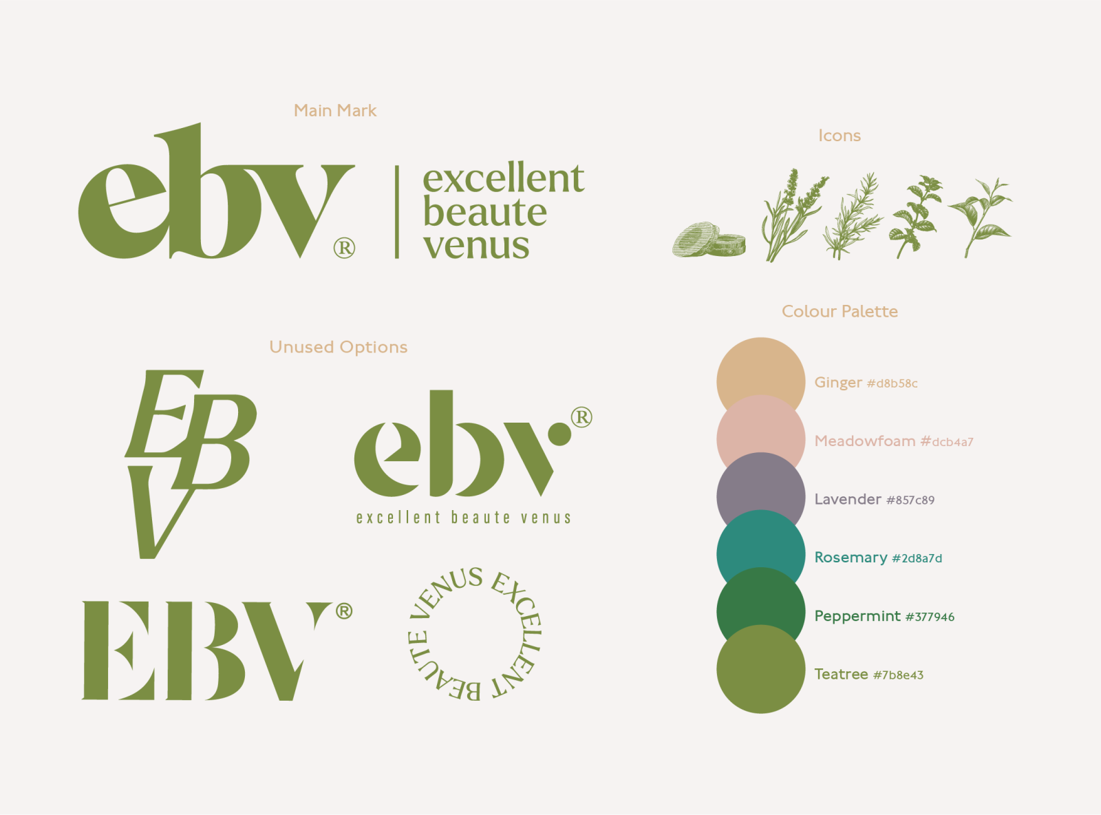 ebv logotype design & colour palette by Stoney on Dribbble