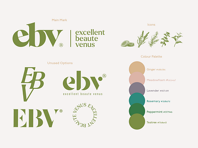 ebv logotype design & colour palette