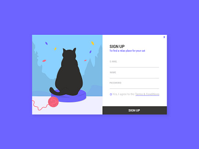 Daily UI 001 cat dailyui form sign up