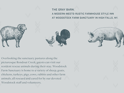 The Gray Barn Woodstock Sanctuary Brand Assets