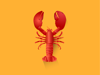 Lobster illustration