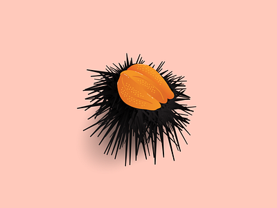 Sea urchin design foodie illustration sea urchin seafood uni vector