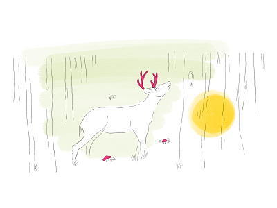 Deer in Forest