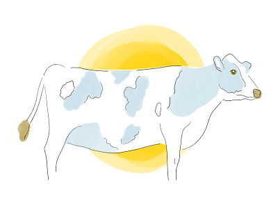 Cow in Sunrise