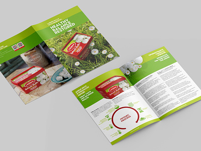 Brochure for a new product