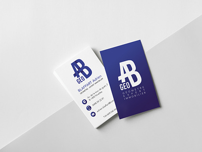 AB Géo / Surveyor and Real Estate Expert branding businesscard charter creative design estate expert graphic logo logotype print real surveyor