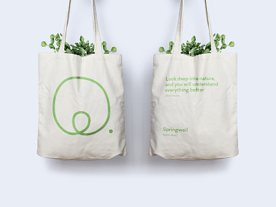 Springwell - Merchandising Tote bag art direction balance branding clean corporate design identity design logo logotype merchandising natural products tote bag typography