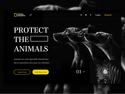 National Geographic Webdesign animals black white buttons colores colors dark ui dogs national geographic popular trendy typogaphy ui uiux user experience user experience design user interface ui userinterface design web concept webdesign website