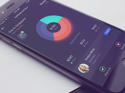Expense Manager APP chart clean dark expense flat infographic manger minimal