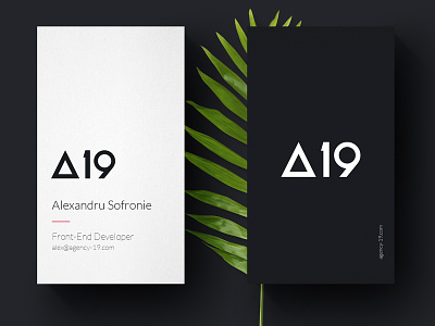 Agency 19 Logo Desing branding illustration logo typography
