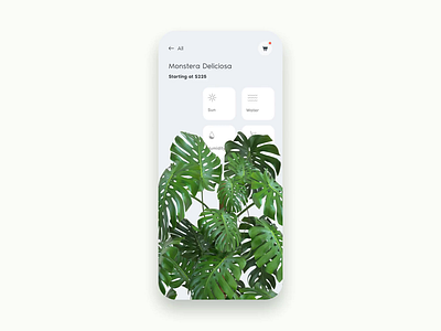 Strelitzia 3d animation app daily ui ecommerce flat green illustration interaction invision invision studio iphone x mockup motion plant plants product