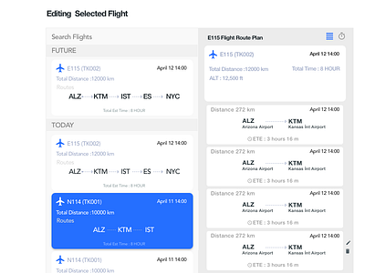 Information Design of Flight paths 