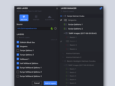 Layer Manager View