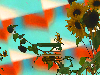FLOWER POWER adobe collage flowers illustration illustrator photography photoshop