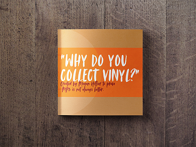 Why Do You Collect Vinyl?