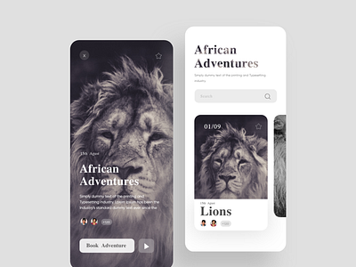 African Adventures by Aymane Helfa on Dribbble