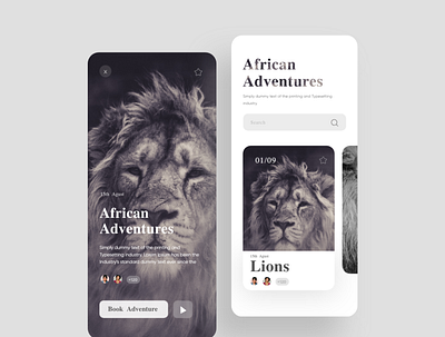 African Adventures app app design design interaction interaction design interface minimal ui uidesign ux