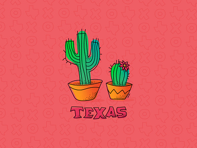 Little Texas Cacti