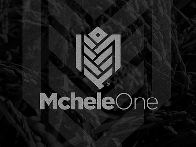 MCHELE ONE | M1 | Monogram Final identity logo showcase logoawesome logodesign logodose logoexcellent logogrid logoimport logoinspirations logonew logosai