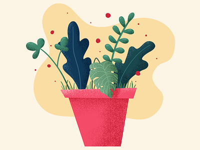 Plants | Illustration design design app flower nature photoshop plants
