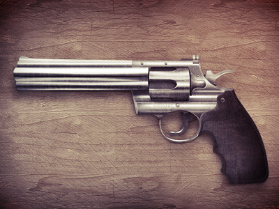 Son Of A Gun gun revolver