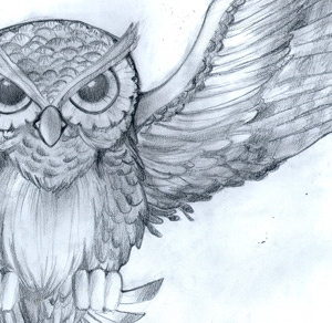 Hoo Hoo drawing sketches