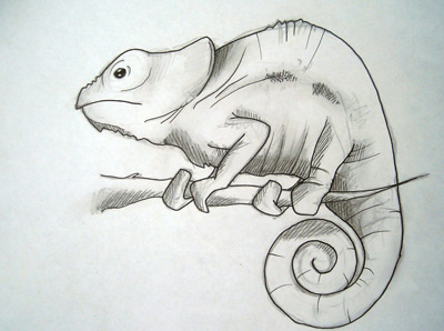 Chameleon sketches