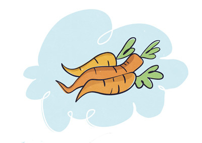 Carrots illustrations