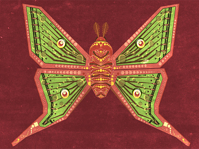 Moth after effects animation illustration illustrator moth motion vector