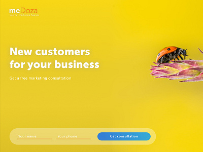 MeDoza. Digital Agency insect marketing marketing agency yellow