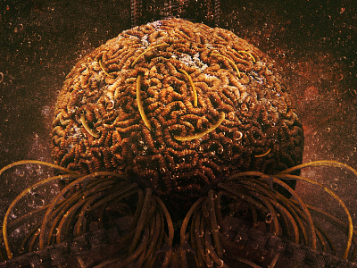 The Machine 2 album art cd cover packaging