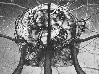 The Forgotten album art black and white brain cd cover packaging