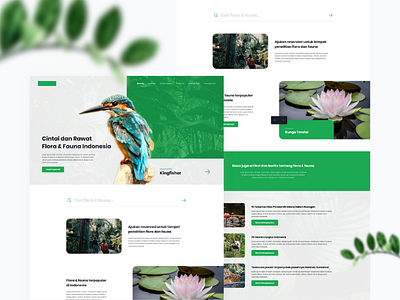 Flora & Fauna Web Concept