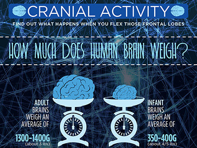 Cranial Activity brain icons illustrations infographic typography