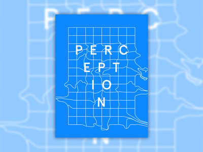 Perception Poster: Take Two