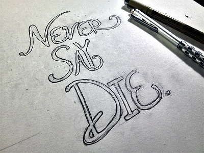 Never Say Die hand lettered hand lettering handlettered lettering micron never say die script small caps swashes type typo typography