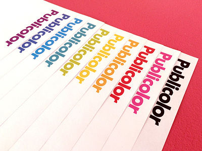 Publicolor letterhead palette branding color identity spectrum vignelli