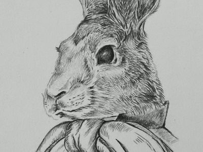 Cotton Tail bunny easter pencil rabbit sketch