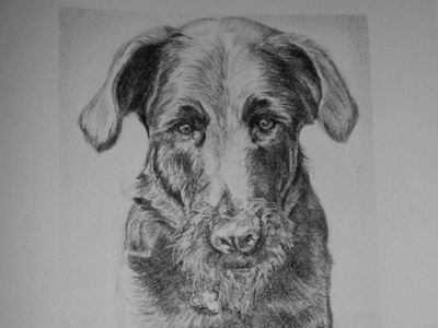 O'Malley animal dog pencil