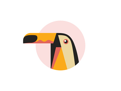 Toucan Illustration