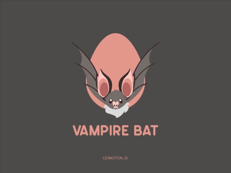 V for Vampire Bat after effect animal bat design dribbble dribble flat design hello dribbble icon illustration logo motion graphic vampire vector