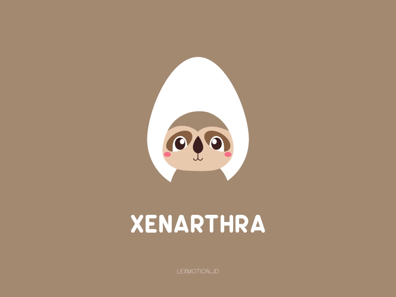 Xenarthra designs, themes, templates and downloadable graphic elements