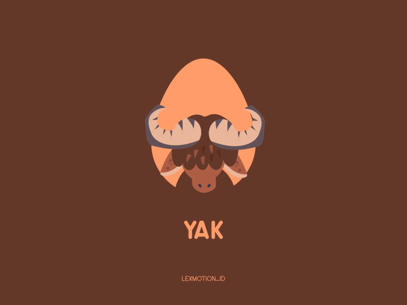 Y for Yak after effect animal design dribbble dribble flat design hello dribbble icon illustration logo motion graphic vector yak