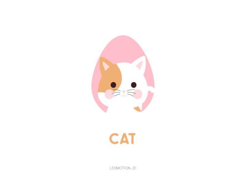 C for Cat after effect animal cat design dribbble dribble flat design hello dribbble icon illustration logo motion graphic vector