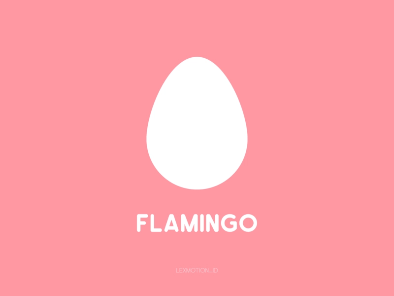F for Flamingo after effect animal design dribbble dribble flamingo flat design hello dribbble icon illustration logo motion graphic vector