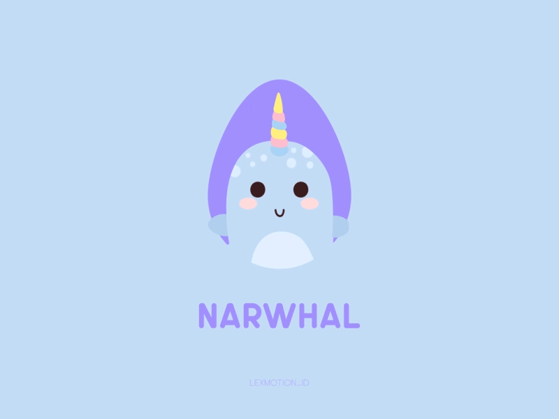 N for Narwhal after effect animal design dribbble dribble flat design hello dribbble icon illustration logo motion graphic narwhal vector