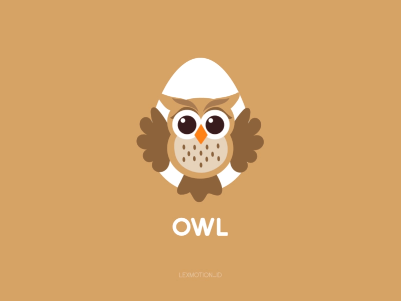 O for Owl after effect animal design dribbble dribble flat design hello dribbble icon illustration logo motion graphic owl vector